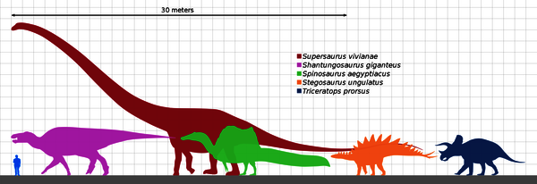 Dinosaurier und Mensch