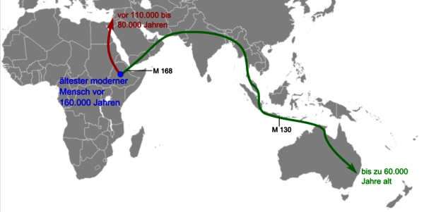 Out of Africa Theorie